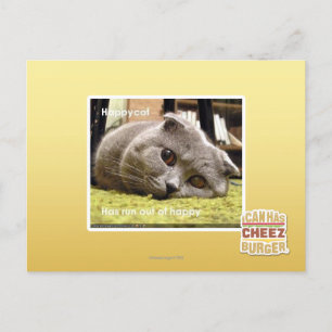 Cartão Postal Feliz gato, fora de felicidade