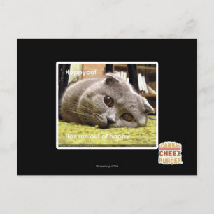 Cartão Postal Feliz gato, fora de felicidade