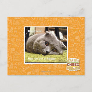Cartão Postal Feliz gato, fora de felicidade