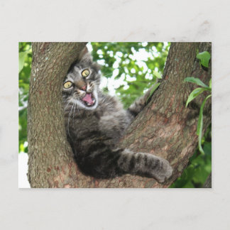 Cartão Postal Feliz gato na árvore