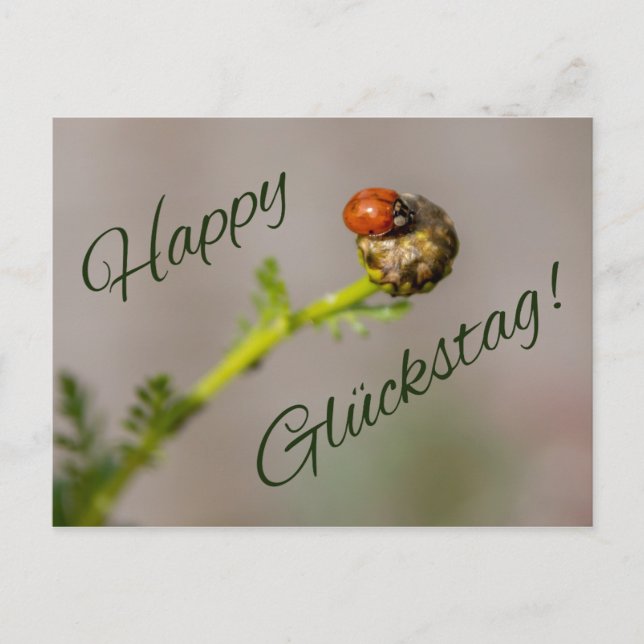 Cartão Postal Feliz Glückstag - mit Marienkäfer! (Frente)