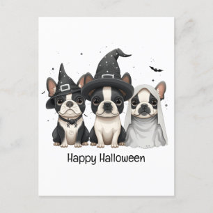 Cartão Postal Feliz Halloween Boston Terrier Dogs