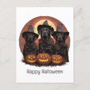 Cartão Postal Feliz Halloween Labrador Cachorros de Rebanho