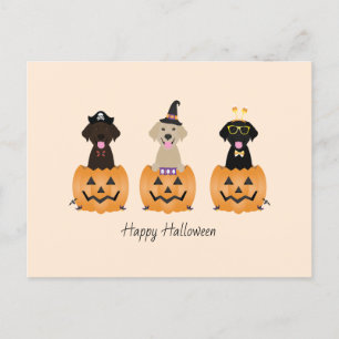 Cartão Postal Feliz Halloween Labrador Retriever Cães Pumpkin