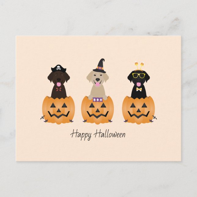 Cartão Postal Feliz Halloween Labrador Retriever Cães Pumpkin (Frente)