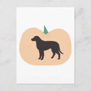 Cartão Postal Feliz Halloween Pumpkin Labrador Retriever