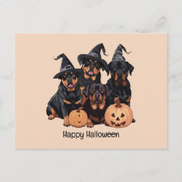 Cartão Postal Feliz Halloween Rottweiler Cães Jack O Lanterna