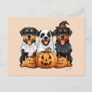 Cartão Postal Feliz Halloween Rottweiler Cães Jack O Lanterna
