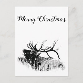 Cartão Postal Feliz Natal