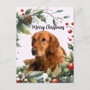 Cartão Postal Feliz Natal Amante de Cachorro Retriever Dourado