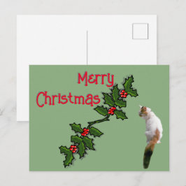 Cartão Postal - Feliz Natal Azevinho e Gato Malhad
