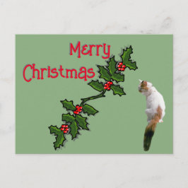 Cartão Postal - Feliz Natal Azevinho e Gato Malhad