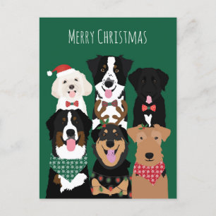 Cartão Postal Feliz Natal Cachorros Fofos 
