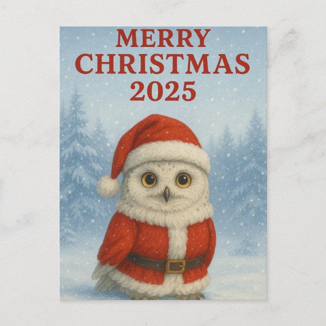 Cartão Postal Feliz Natal Coruja  (Frente)