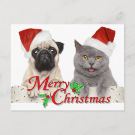 Cartão Postal Feliz Natal de Papais noeis Gato e Cão