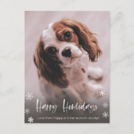 Cartão Postal Feliz Natal do Cachorro Walker