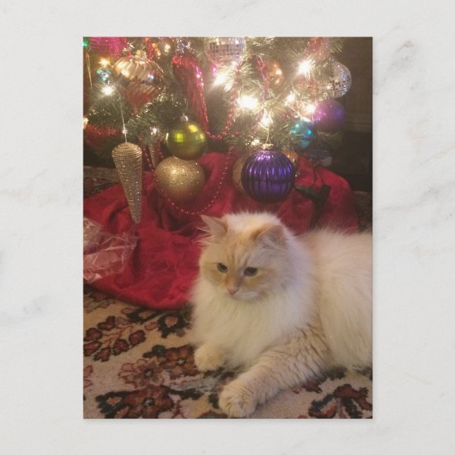 Cartão Postal Feliz Natal e Feliz ano novo (Frente)