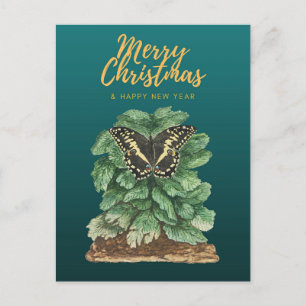 Cartão Postal Feliz Natal e Feliz ano novo