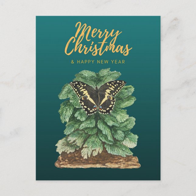 Cartão Postal Feliz Natal e Feliz ano novo (Frente)