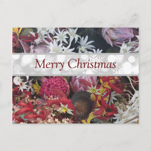 Cartão Postal Feliz Natal - Flores Nativas Australianas