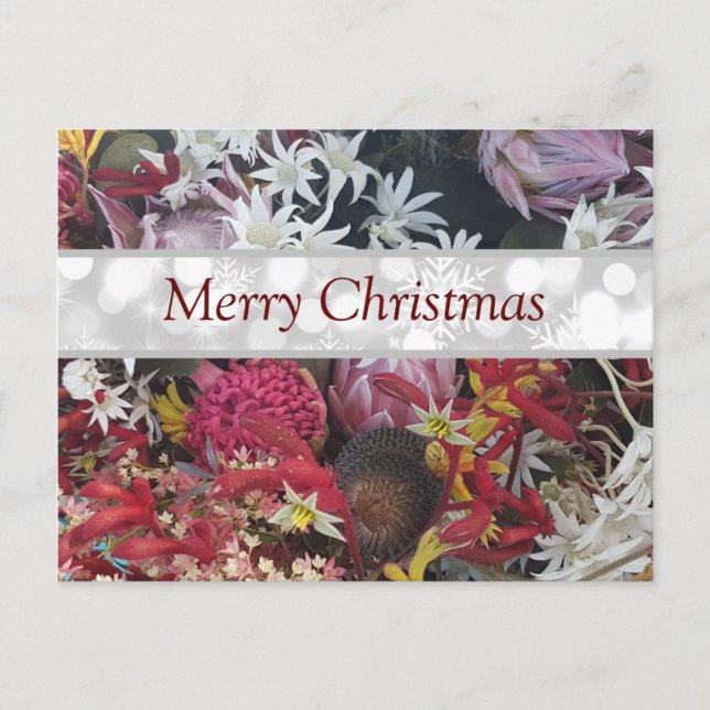 Cartão Postal Feliz Natal - Flores Nativas Australianas (Frente)