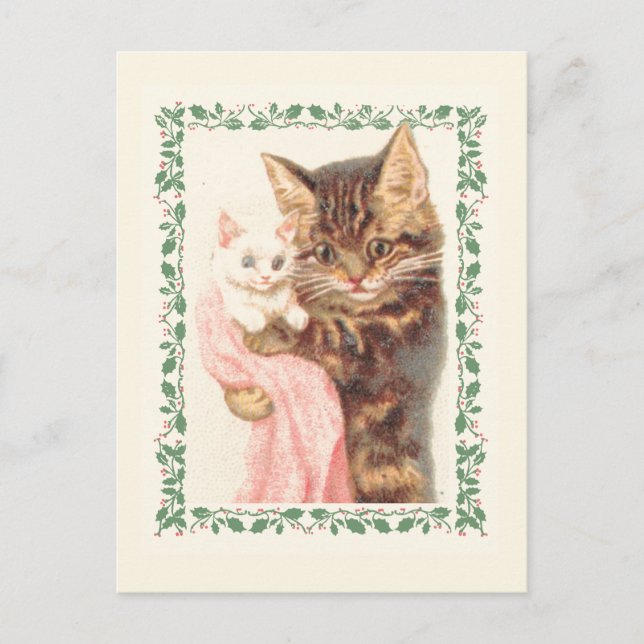 Cartão Postal Feliz Natal Gatinho Holly Vintage Holiday (Frente)
