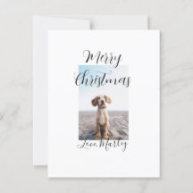 Feliz Natal gato de estimação presentes de Natal