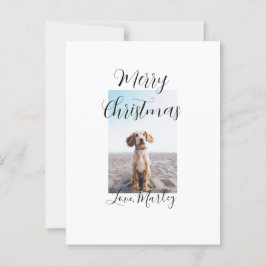 Cartão Postal Feliz Natal gato de estimação presentes de Natal