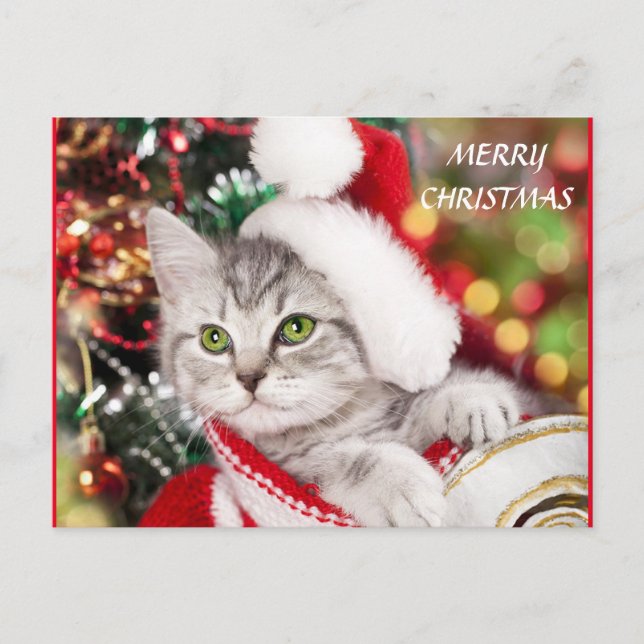 Cartão Postal Feliz Natal Kitten (Frente)