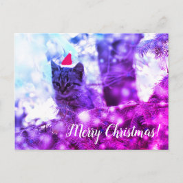 Cartão postal Feliz Natal Kitten