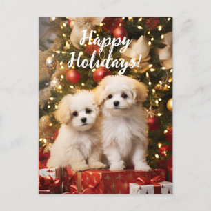Cartão Postal Feliz Natal para Cachorros Felizes
