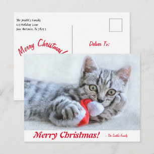 Cartão Postal Feliz Natal Personalizado Kitten com Papai Noel