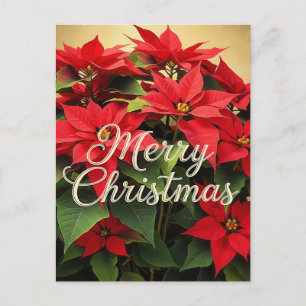 Cartão Postal Feliz Natal Poinsettias Vermelhas