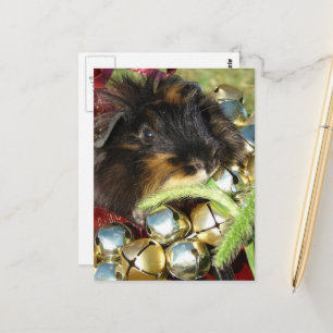 Cartão Postal Feliz Natal Porquinho-da-Índia