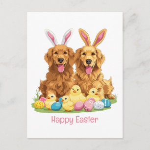 Cartão Postal Feliz Páscoa Golden Retriever Cães Orelhas de Coel