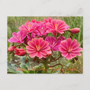 Cartão Postal Feliz Semana Nativa Califórnia!