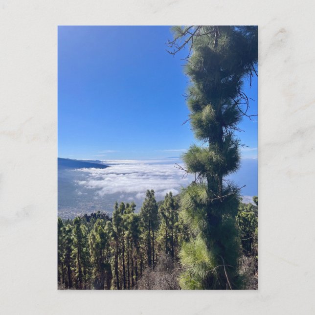 Cartão Postal Feliz Tenerife. (Frente)