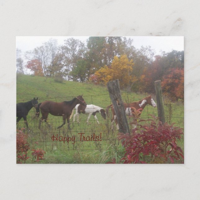 Cartão Postal Feliz Trajes! (Frente)