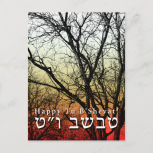 Cartão Postal Feliz Tu B’Shevat! : Dia da Árvore Judaica