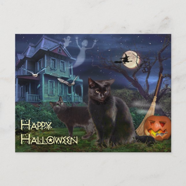 Cartão Postal Felizes Gatos De Halloween (Frente)
