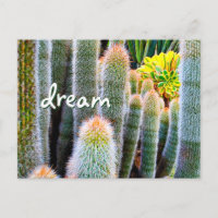 Felpudo Verde Cactus Fotografia Sonho Escuro