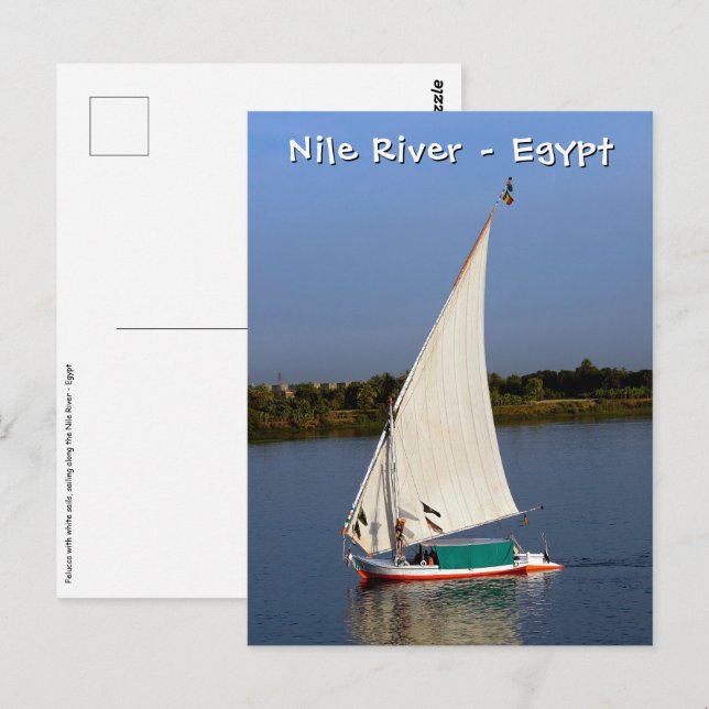 Cartão Postal Felucca navegando pelo Nilo - Aswan, Egito (Frente/Verso)