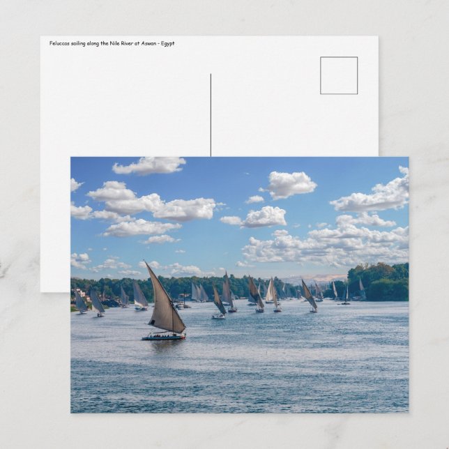 Cartão Postal Feluccas navegando ao longo do Nilo - Aswan, Egito (Frente/Verso)