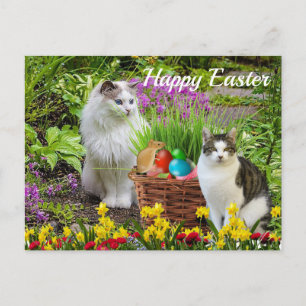Cartão Postal Felz pascoa Do Seu Feriado De Gato