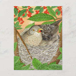 Cartão Postal Female Blackbird