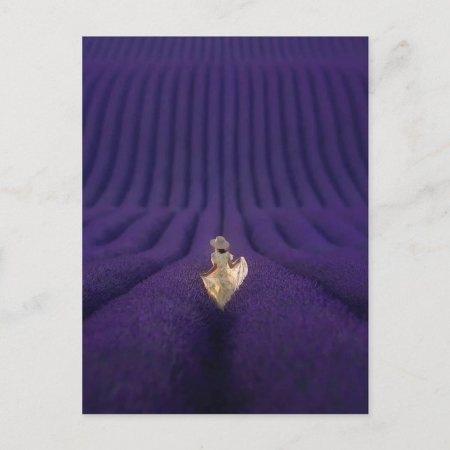 Cartão Postal Femme dans un champ de lavande (Frente)