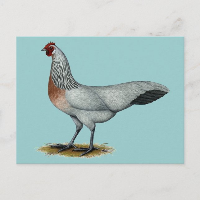 Cartão Postal Fênix: Colo de Prata (Frente)
