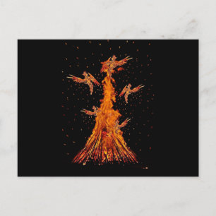 Cartão Postal Fênix Renascer