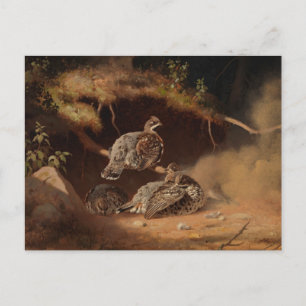 Cartão Postal Ferdinand von Wright - Hazel Grouse Wallow