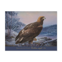 Ferdinand von Wright Ouro eagle 1884 CC0314